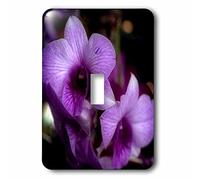 3dRose Haunted Halo Glow is a Photo of Beautiful Purple Orchids Interruptor de Palanca único, Multicolor