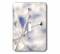 3dRose Hoarfrost on Branches in Winter Snow is Covering The Landscape Interruptor de Palanca único, Multicolor