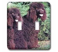 3dRose Irish Water Spaniel Interruptor de doble palanca, multicolor