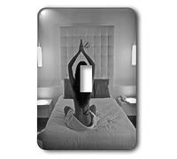 3dRose LLC lsp_10082_1 Le Cameleon, A New Luxury Five Star Boutique Hotel, interruptor de palanca individual