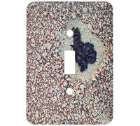 3dRose LLC lsp_11259_1 Lichen Resumen en rocas de granito Interruptor de palanca individual