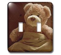 3dRose LLC lsp_12016_2 Home Sick from The Bear Foot Society - Interruptor doble