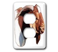 3dRose LLC lsp_1260_6 Boer Doe cabeza de cabra, cubierta de 2 enchufes