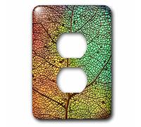 3dRose LLC lsp_154791_6 Macro Closeup of A Leaf Structure Enhanced by Colors of Green Orange and Yellow 2 Plug Outlet Cover