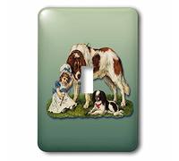 3dRose LLC. lsp_170694_1 Cute Little Girl In A Capó con un perro grande y un Spaniel - Interruptor de palanca único, multicolor