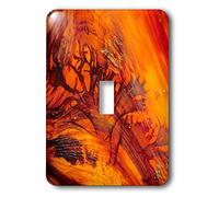 3dRose LLC. lsp_189826_1 - Patrón en madera de deriva, Parque Nacional Olímpico, Washington - Interruptor de palanca individual, multicolor