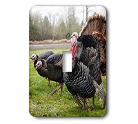 3dRose LLC. lsp_206105_1 USA, Oregon, Shedd, Thompson Mills Shs, Domestic Turkey - Interruptor de palanca único, multicolor