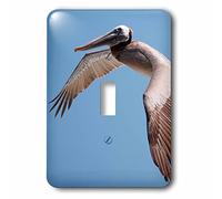3dRose LLC. lsp_206258_1 A Pelican Flying Over the Pacific Coast - Interruptor de palanca individual, multicolor
