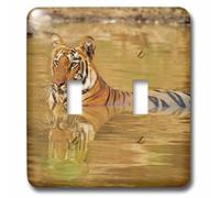 3dRose LLC. lsp_209105_2 Royal Bengal Tiger At The Waterhole - Interruptor de doble palanca, multicolor