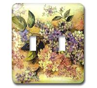 3dRose LLC. LSP_22211_2 Still Life Beauty-Double - Interruptor, Multicolor