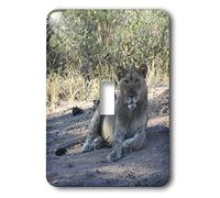 3dRose LLC lsp_26832_1 Young Lion In The Grass - Interruptor de palanca