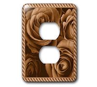 3dRose LLC lsp_29943_6 Close Up Scene Of Dreamy Milk Chocolate Rosas rodeadas por un marco a rayas, 2 enchufes