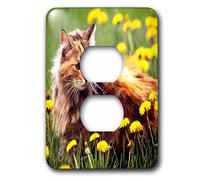 3dRose LLC LSP_573_6 - Cubierta de enchufe con 2 enchufes Cat in The Flower Field