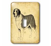 3dRose LLC. lsp_58200_1 St Bernard Dog Against A Vintage Background - Interruptor de palanca individual, multicolor