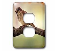 3dRose LLC lsp_79144_6 Bird On A Ranch Animals Photography 2 Plug Outlet Cover Cover