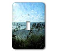 3dRose LLC lsp_8672_1 Walk On The Beach, interruptor de palanca individual