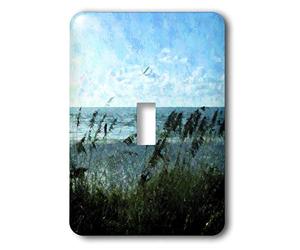 3dRose LLC lsp_8672_1 Walk On The Beach, interruptor de palanca individual