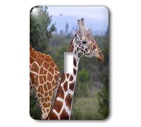 3dRose LLC lsp_9844_1 Giraffes At The Sweetwater Reserve, interruptor de palanca individual