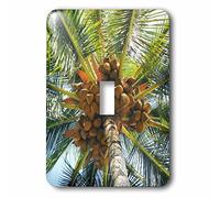 3dRose LSP_107120_1 "Cacao Tree on The Big Island of Hawaii interruptor de palanca individual, multicolor