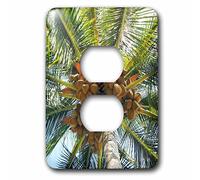 3dRose LSP_107120_6 Cacao Tree On The Big Island of Hawaii - Cubierta para enchufe de 2 enchufes, multicolor