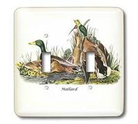 3dRose Lsp_114097_2 Mallard Duck by John James Audubon - Interruptor doble