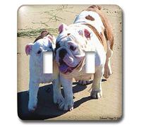 3dRose lsp_13738_2 You Belong With Me - Interruptor de palanca doble