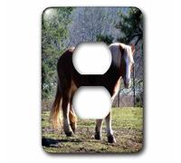 3dRose lsp_172309_6 A Beautiful Caballos Marrón y Blanco Caminando A Través De La Pastura - Cubierta para enchufe de 2 enchufes, multicolor