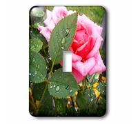 3dRose lsp_193031_1 Cleansing Rain And The Rose Is A Photo Of A Garden Rose After A Rain - Interruptor de palanca individual