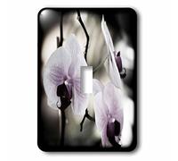 3dRose lsp_201712_1 Just A Little Color - Foto de orquídeas - Interruptor de palanca simple