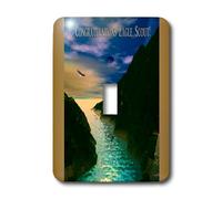 3dRose lsp_20819_1 Flight Of The Eagle Congratulations Eagle Scout - Interruptor de palanca individual