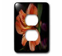 3dRose lsp_211954_6 Beauty Of A Tiger Lily Is A Close Up Foto De Un Lirio De Tigre Naranja - 2 Enchufes