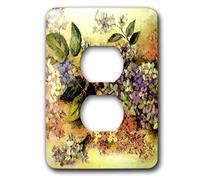 3dRose lsp_22211_6 Still Life Beauty - Tapa de enchufe para 2 enchufes