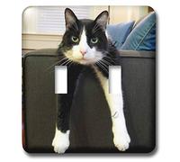 3dRose LSP 23450 2 blanco y negro gato con nada que ver doble interruptor