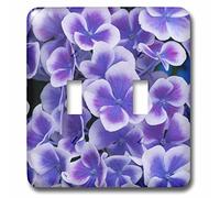 3dRose lsp_257987_2 Close Up of Purple Hortensia Blooms Interruptor de palanca multicolor