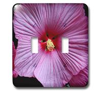 3dRose lsp_38334_2"One of the impresionante Flowers in the flowermarts of Amsterdam" interruptor doble de palanca