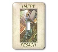 3dRose lsp_38896_1 - Interruptor de palanca con Moisés y 10 mandamientos