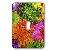 3dRose LSP_38976_1 Interruptor de palanca de claveles, color naranja, lima y rosa