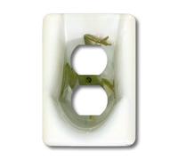 3dRose LSP_46180_6 "Green Tree Frog in The Toilet, Northern Terretory, Australia Outlet Cover