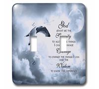 3dRose lsp_52227_2 The Serenity Prayer A Beautiful Dove One Of A Kind Graphic Inspire All Toggle Switch