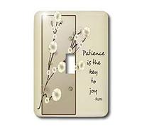 3dRose LSP_55628_1 Patience is the Key to Joy - Interruptor de palanca para poesía floral
