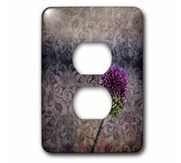 3dRose LSP_59082_6 - Cubierta de enchufe con 2 enchufes para decoración de flores rosadas