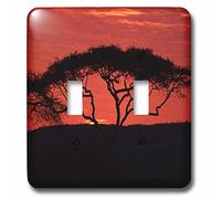 3dRose lsp_60469_2 Acia Tree In Serengeti National Park Tanzania África - Interruptor de doble palanca