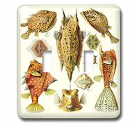 3dRose LSP_62146_2 Biólogo famoso boceto de anatomía de un pez 1800 interruptor de doble palanca