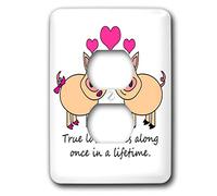 3dRose LSP_6292_6 True Comes Along Once in A Lifetime - Cute Pig Love Design 2 Plug Outlet Cover Multicolor