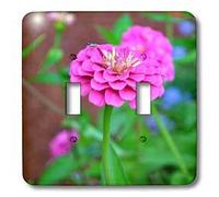 3dRose lsp_63322_2 Una flor de zinnia rosa con error desconocido interruptor de doble palanca