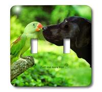 3dRose lsp_656_2 Just One More Kiss - Interruptor doble