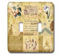 3dRose LSP 79374 _ 2 Vintage oro Collage de arte con albaricoques y You Are My Sunshine doble interruptor