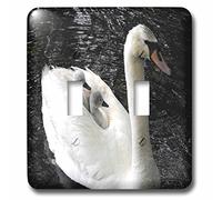 3dRose lsp_80711_2"Mama Swan Hold Babies On Her Back" Interruptor doble de palanca