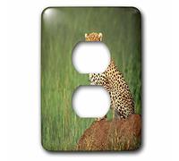 3dRose lsp_83911_6 Cheetah On The Look Out, Tanzania Africa Na02 Dno0340 David Northcott 2 cubierta de enchufe