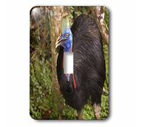 3dRose lsp_84953_1 Papúa Nueva Guinea, Lae Southern Cassowary Bird Oc12 Bfr0008 Bernard Friel interruptor de palanca individual